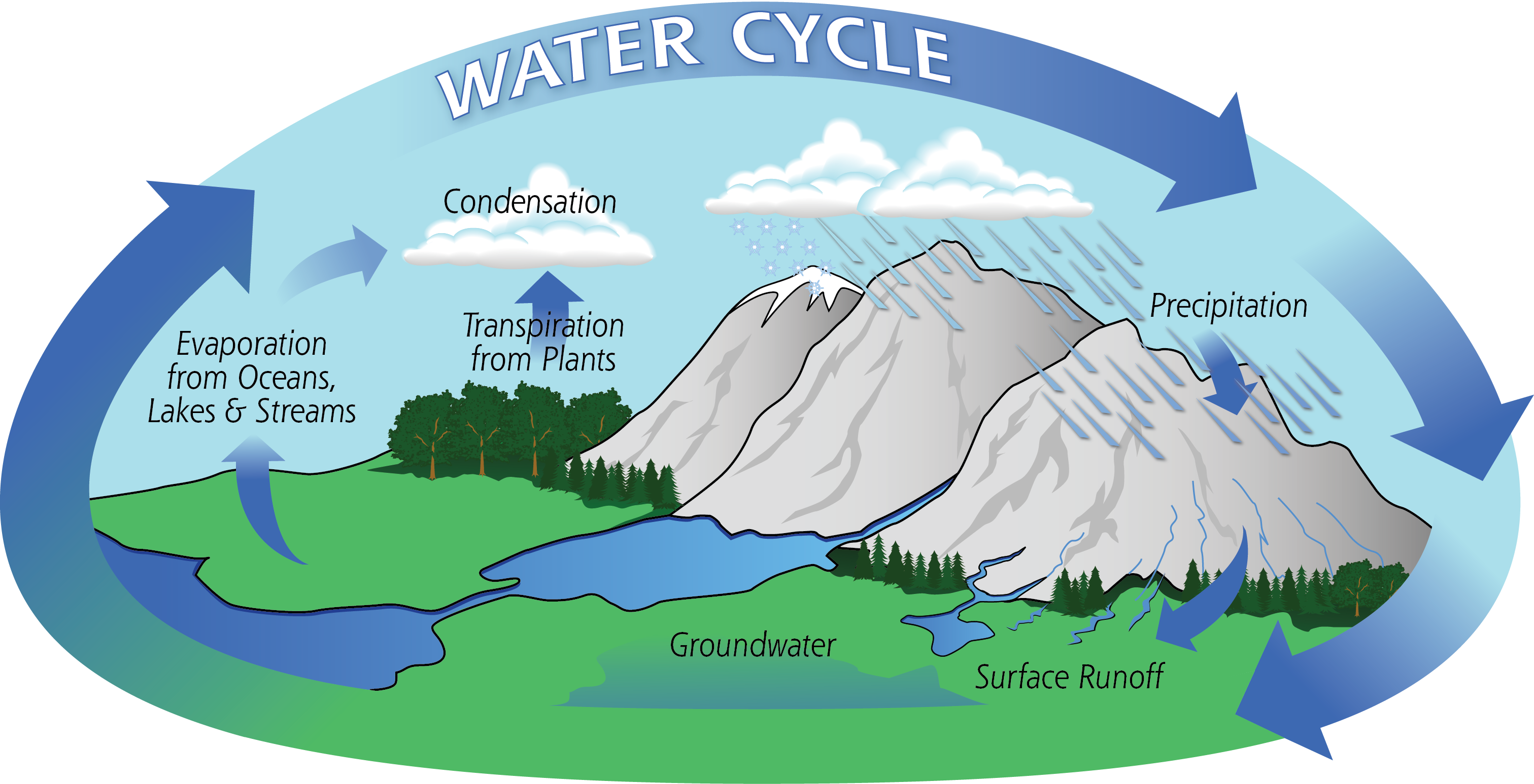 DRAW A WELL LABELLED DIAGRAM OF THE WATER CYCLE - ATIKA SCHOOL