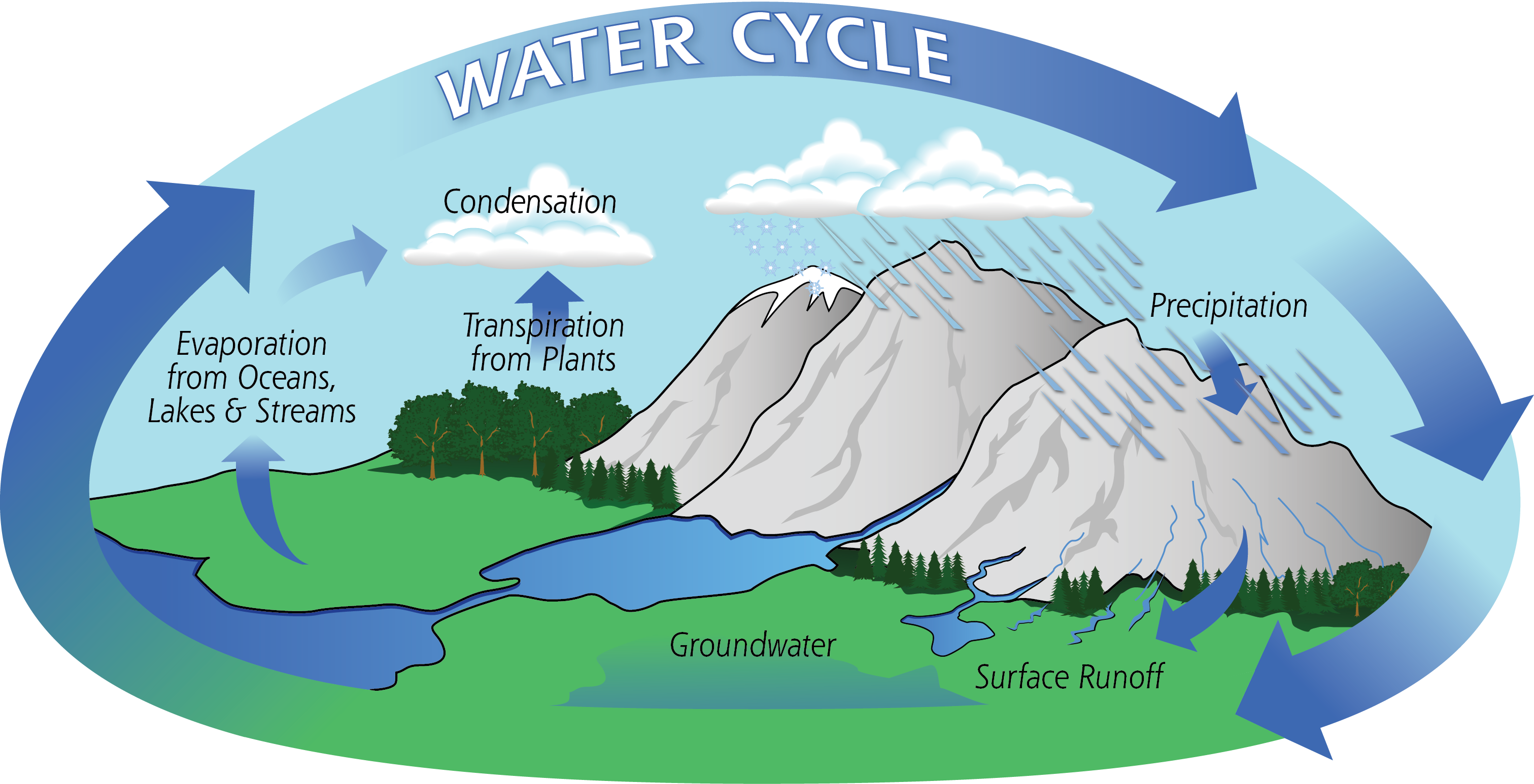 The water cycle - The water cycle and river terminology - KS3 Geography  (Environment and society) Revision - BBC Bitesize