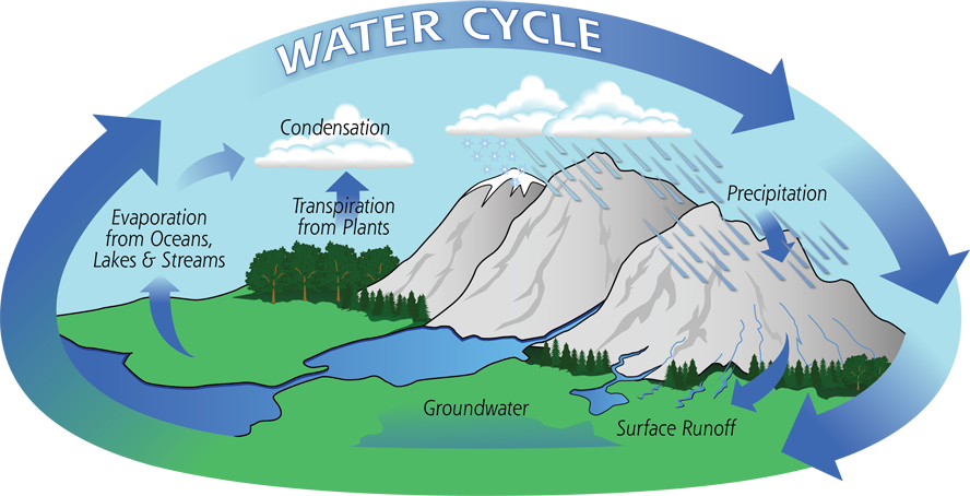 Diagram of the water cycle showing evaporation, condensation, and precipitation