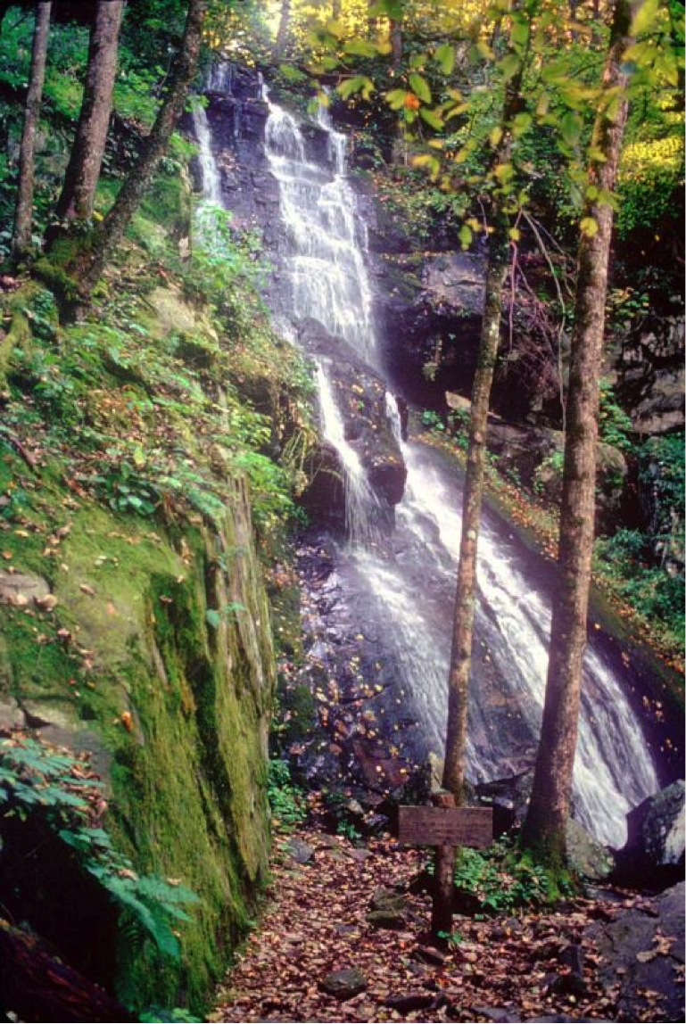 Grea smokey mountains waterfall