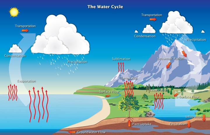 The Diagram Below Shows A Portion Of The Water Cycle