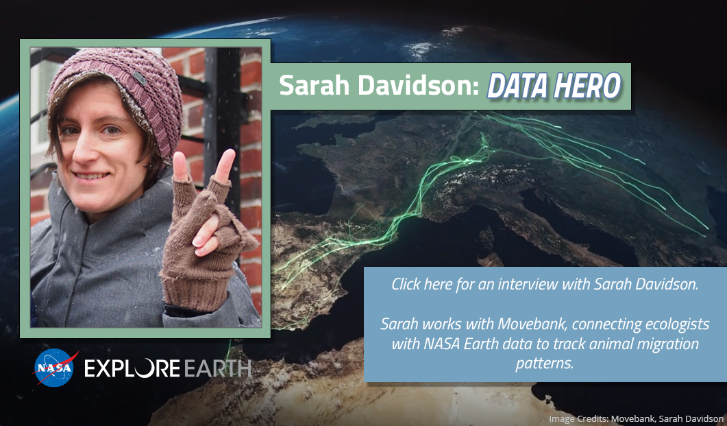 Click here for an interview with Sarah Davidson