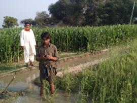Farmers in a field in Pakistan using GPM data on their phone.