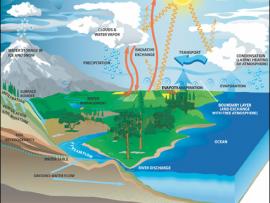 Diagram of the water cycle from NASA Earth Science