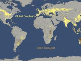 World Droughts From 2005 to 2009 Versus Where Crops are Grown