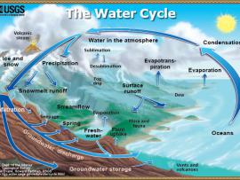 A diagram of the water cycle provided by USGS