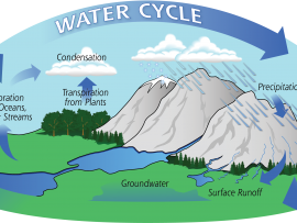 water cycle diagram for 6th grade