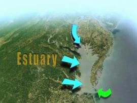 Diagram of an estuary