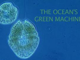"The Oceans Green Machines" title text with plankton in background