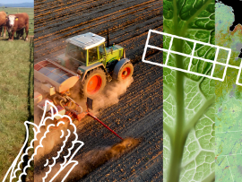 NASA food campaign banner