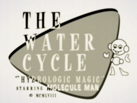 Thumbnail for "The Water Cycle"