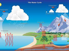 Diagram of the water cycle