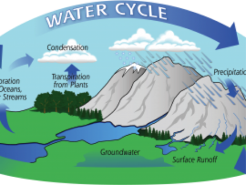 The Water Cycle