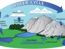 Master Teachers: Measuring Precipitation