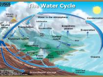 A diagram of the water cycle provided by USGS