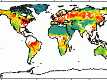 NDVI plot of the Earth for June 2004