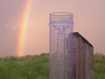 Rain Gauge Activity