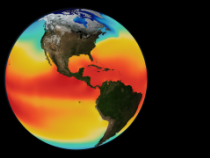 Sea Surface Temperature, Salinity and Density