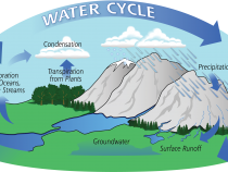 Water Cycle diagram