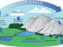 Water Cycle Speaker's Toolkit
