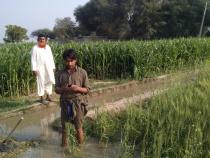 Farmers in a field in Pakistan