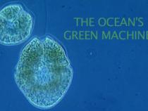 "The Oceans Green Machines" title text with plankton in background