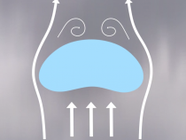 The Anatomy of a Raindrop