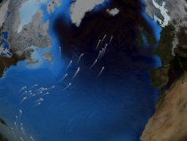 The Thermohaline Circulation - The Great Ocean Conveyor Belt