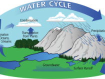 The Water Cycle