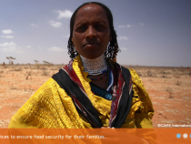 Person in the desert