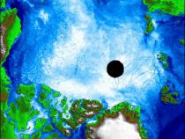 Polar sea ice