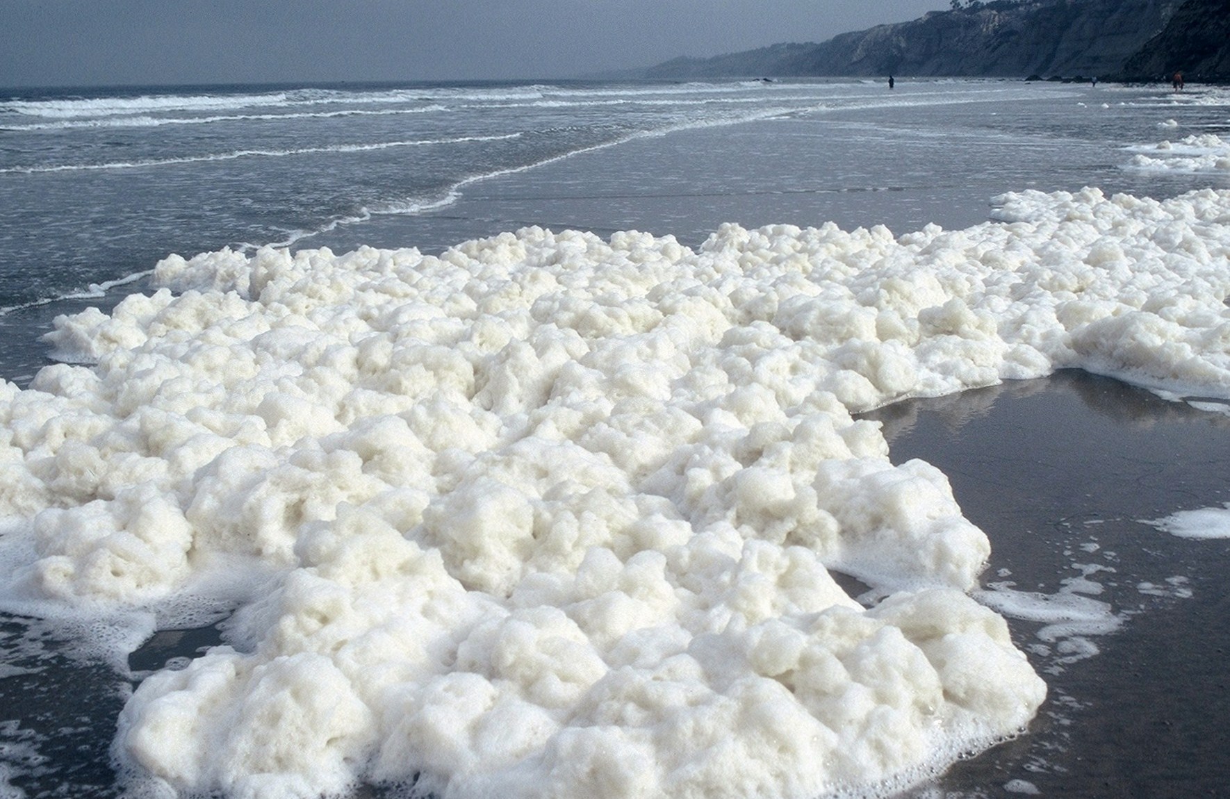 Snowfall San Diego Style, by Judith Lea Garfield