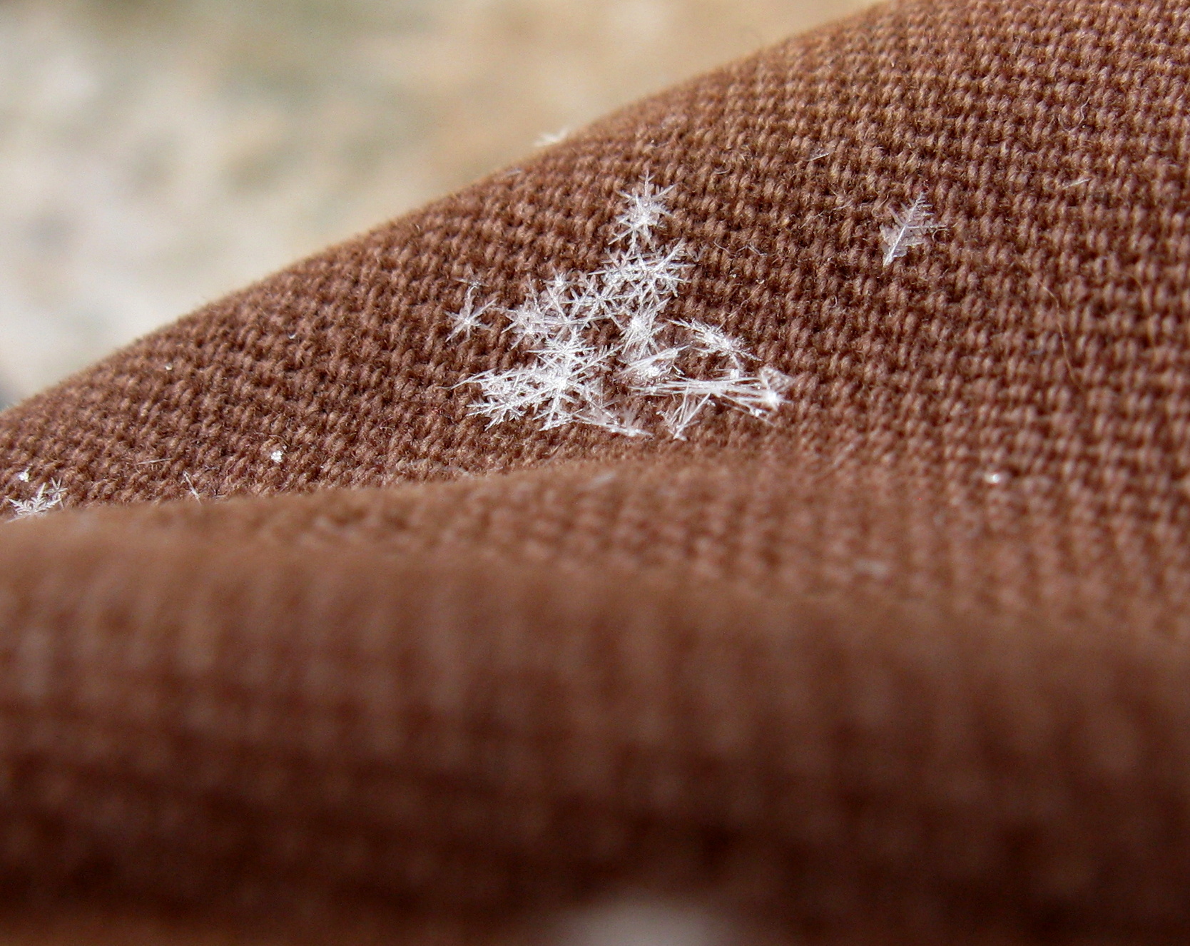 Snowflakes, by Brian Johnson