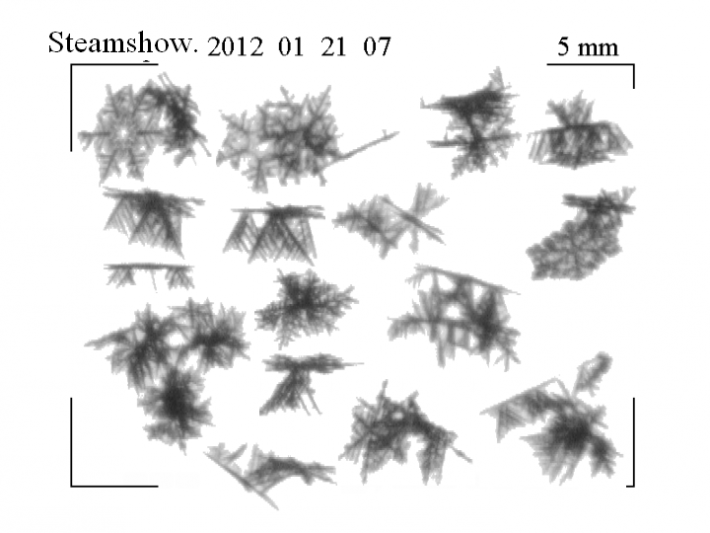 Black and white images of falling snow crystals from the Snow Video Imager