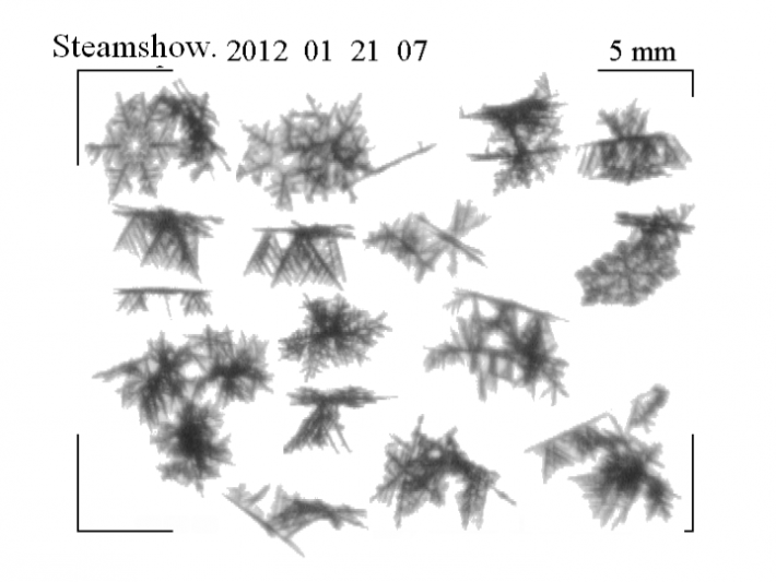 Black and white image of falling snowflakes as seen by the Snow Video Imager