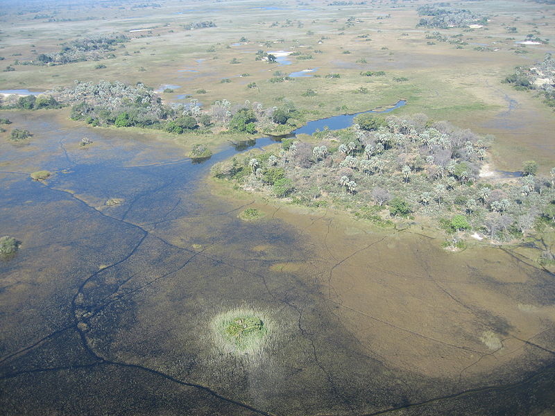 The Okavango Delta in Botswana.
