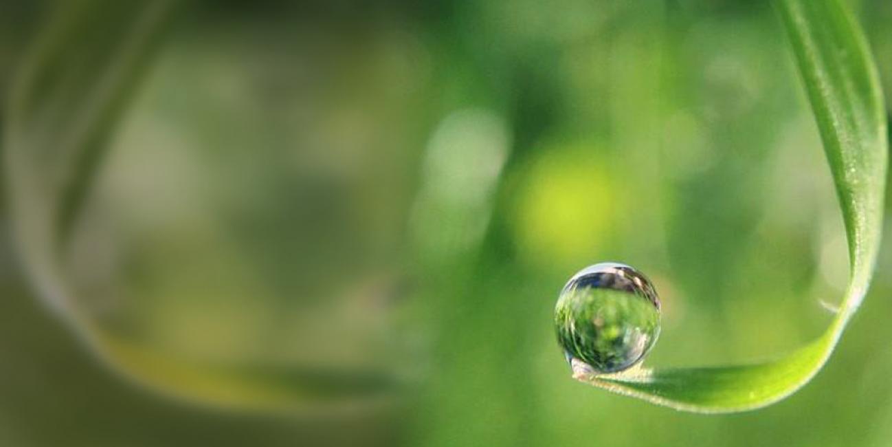 gpm-signs-of-spring-photo-contest