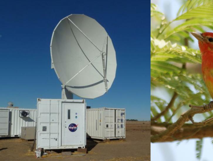 The NPOL radar and a Summer Tanger
