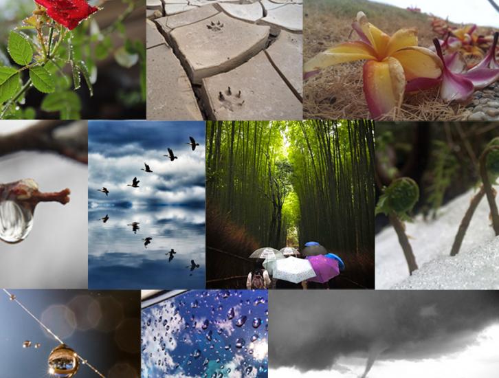 GPM "Signs of Spring" Photo Contest Winners