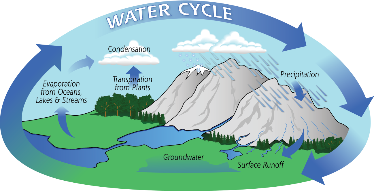 Diagram of the Water Cycle showing evaporation, condensation, precipitation, transpiration, groundwater, and runoff.