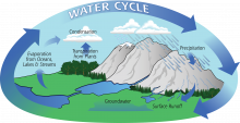 Diagram of the Water Cycle showing evaporation, condensation, precipitation, transpiration, groundwater, and runoff.